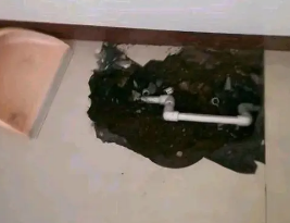 英山卫生间测漏水多少钱